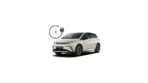 byd doplhin